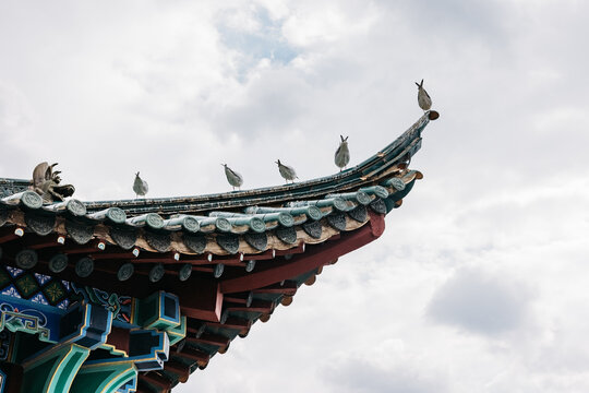 A flock of birds standing on the roof