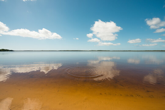 Mirror effect on lake water and little waves