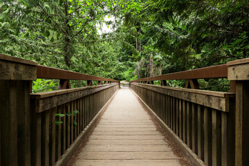 A sunlit wooden bridge