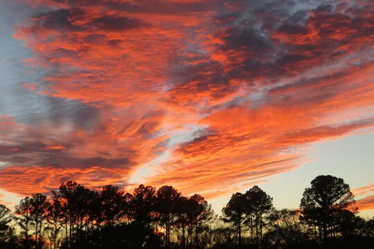 Beautiful fiery red sunset background of North Florida nature