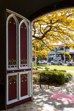 Door to church with Yellow Cortez Tree 