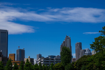Fototapeta na wymiar Tokyo summer