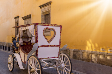 Fototapeta na wymiar Mexico, Chariot in front of Guadalajara Cathedral waiting for tourists to go to city attractions.