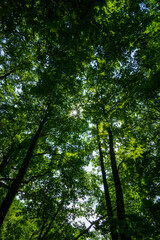 Obraz premium Summer tour