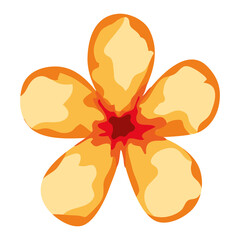 yellow flower spring