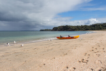 The veiw of picturesque landscape with orange kayak boat at white sand beach, Te Haruhi Bay at Shakespear Regional Park, New Zealand.
