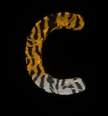 Furry Tiger Themed Font Letter C