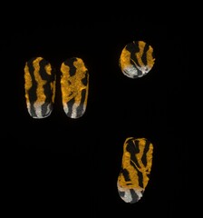Furry Tiger Themed Font Quotation Mark and Comma and Period