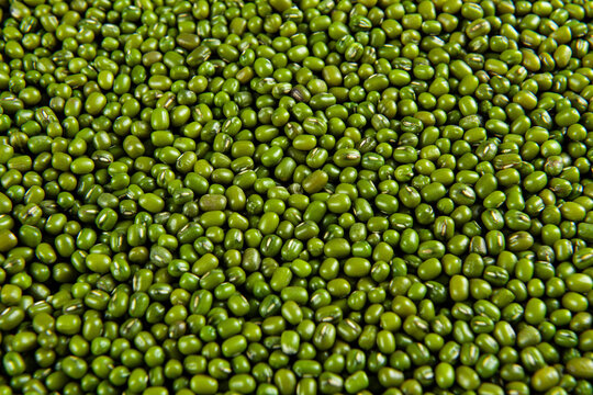 green mung beans texture background