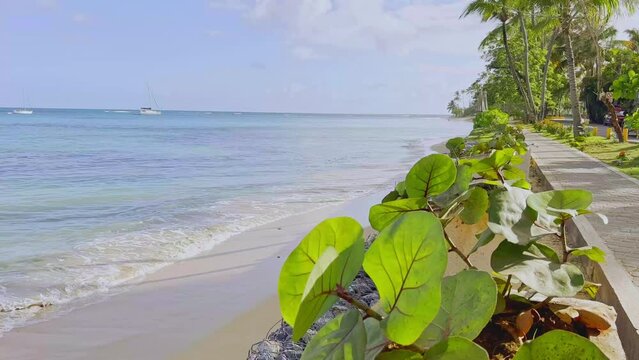 Handheld view of alleyway at Playa Punta Popy with sailboats in background, Las Terrenas in Dominican Republic