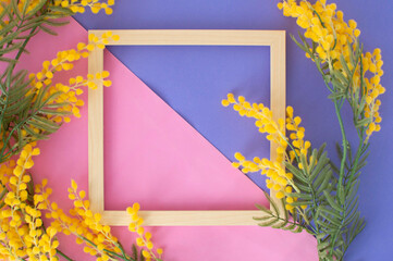 Top view of wooden empty frame with a mimosa on purple background. A beautiful composition of spring flowers with place for a congratulatory text. Valentine's Day, Easter, Birthday, Happy Women's Day