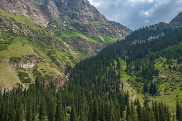 Beautiful mountains with spruce forest and waterfall, landscape. Barskoon river gorge. Travel, tourism in Kyrgyzstan concept.