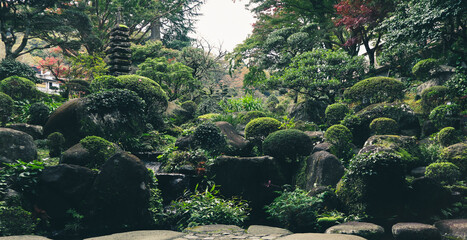Beautiful garden in Hakone, Japan