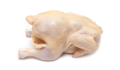 Broiler chicken carcass on a white background.