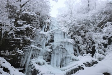 Fototapeta na wymiar 四王寺の滝、寒波、冬、霧氷、雪、英彦山、福岡県