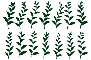 set of vector design element green leaf