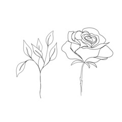 Set set of flowers: rose and plant twig continuous line drawing. One line art. minimalism sketch, idea for invitation, design of instagram stories and highlights icons
