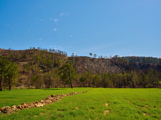 Fototapeta premium peaceful landscape in a rural place