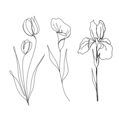 Set set of flowers: tulip, iris and cala continuous line drawing. One line art. minimalism sketch, idea for invitation, design of instagram stories and highlights icons