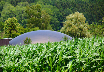 Biogasanlage mit Maisfeld   Bioenergie