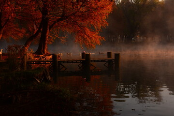 Camecuaro Lake in Winter-Autumn 