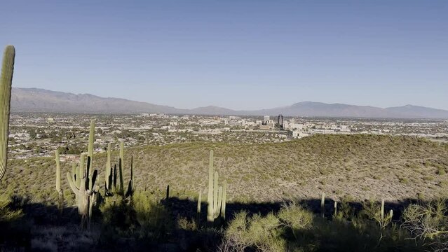 Pan Tucson Arizona in distance with cactus in foreground