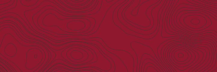 Panorama view topographic contour lines map isolated on a red background
