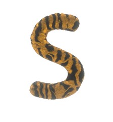 Furry Tiger Themed Font With White Background Letter S
