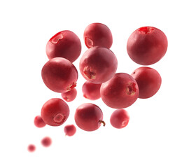 Red cranberry berries levitate on a white background