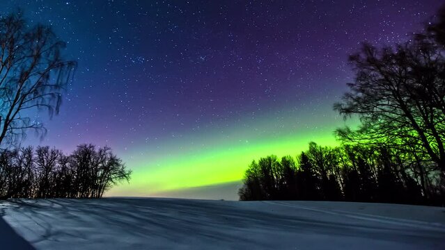 Glowing stars at dark sky in motion and green colored Northern lights at night in snowy forest landscape - time lapse shot