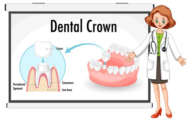 Infographic of human in dental crown
