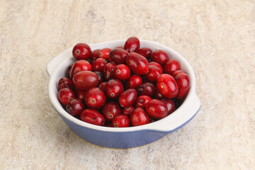 Ripe sweet tasty cranberry in the bowl