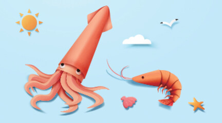 Squid and shrimp at beach elements