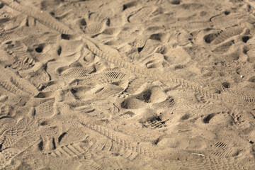 A sandy background full of footprints