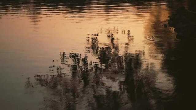 sunset reflection water