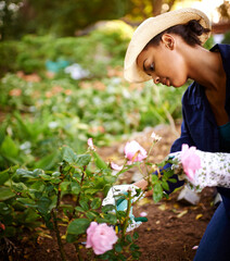 Gardening is a labor of love. Shot of a young woman trimming the roses in her garden.