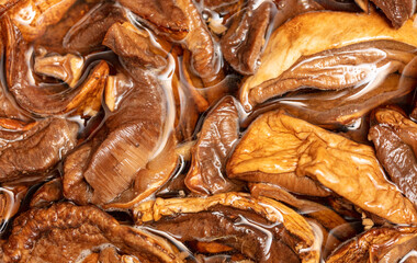 Dried mushrooms in water as background.