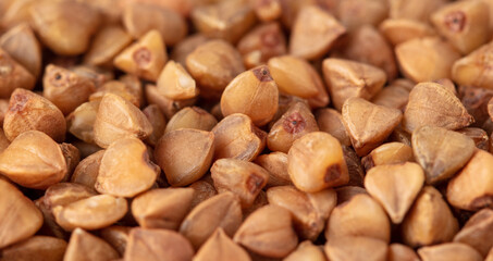 Close-up of buckwheat groats as background.
