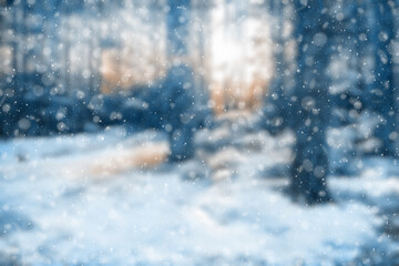 Fototapeta na wymiar blurred winter forest