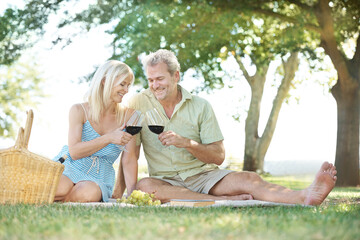 Toasting another year of love and happiness. A happy husband and wife toasting with a glass of wine as they enjoy a picnic outside in a park on a summers day.