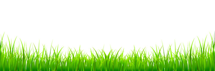 新緑　草　草原　背景