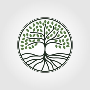 Tree vector icon. Nature trees vector illustration logo design. line art style