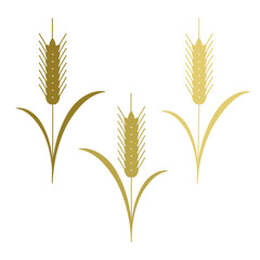小麦　wheat　のイラスト　シルエット