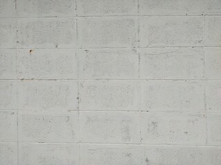  a beautiful white brick wall to serve as a background.