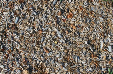 a pile of wood chips unsorted outside on a playground