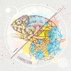 Realistic and polygonal chameleon illustration on artistic watercolor background. Triangle animal vector illustration