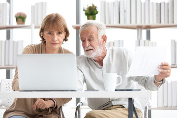 senior businesswoman and businessman talking and working together with laptop computer