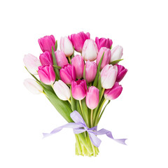 Pink tulip on the white background. Easter background
