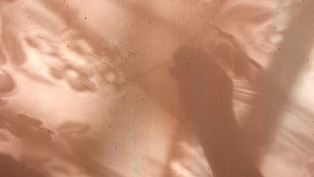 Blurred shadow of female hand holding twig with leaves on grunge wall background with lace flower pattern. Abstract, play of light and shadow, natural light, shadow play illusion concept