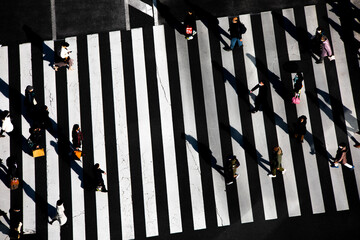 俯瞰で見る横断歩道